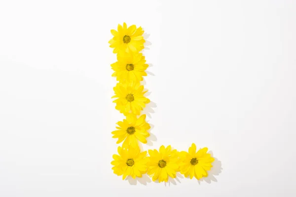 Top View Yellow Daisies Arranged Letter White Background — Stock Photo, Image