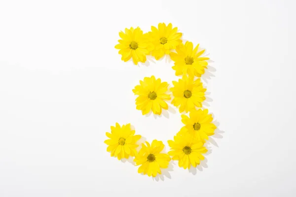 Top View Yellow Daisies Arranged Number White Background — Stock Photo, Image