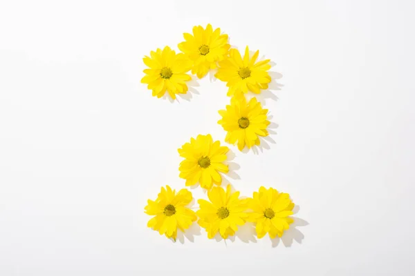 Top View Yellow Daisies Arranged Number White Background — Stock Photo, Image