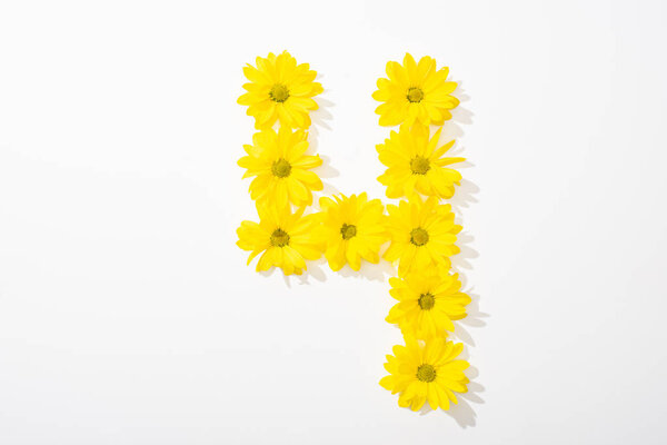 top view of yellow daisies arranged in number 4 on white background