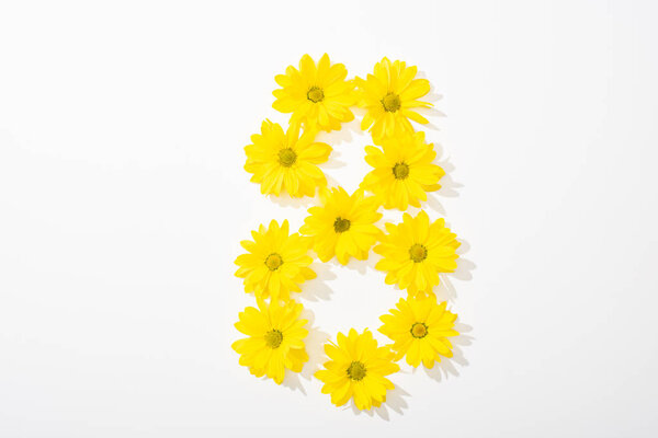 top view of yellow daisies arranged in number 8 on white background