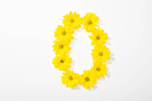 白色背景上0号黄色雏菊的顶部视图 — 图库照片