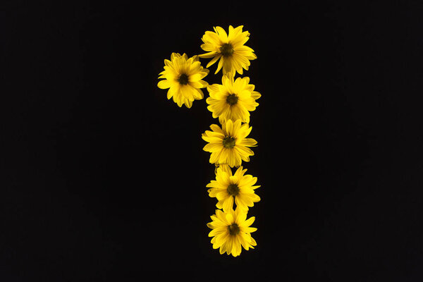 top view of yellow daisies arranged in number 1 isolated on black