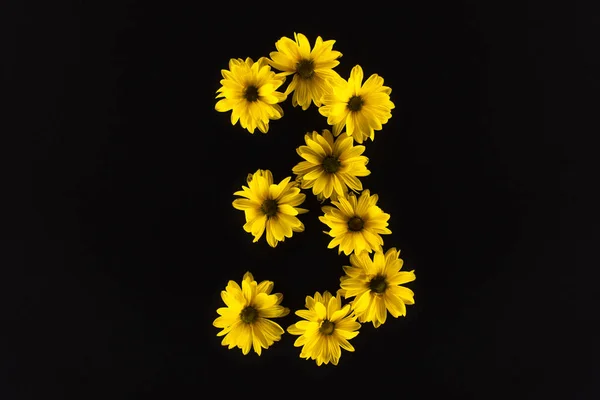 Vista Superior Margaridas Amarelas Dispostas Número Isolado Preto — Fotografia de Stock