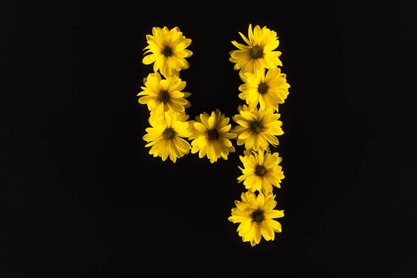 top view of yellow daisies arranged in number 4 isolated on black