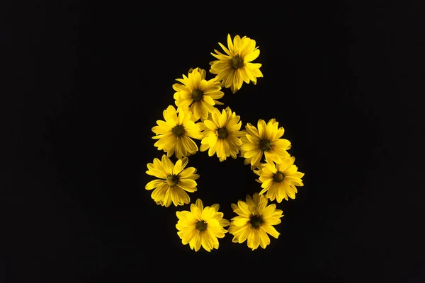 Top View Yellow Daisies Arranged Number Isolated Black — Stock Photo, Image