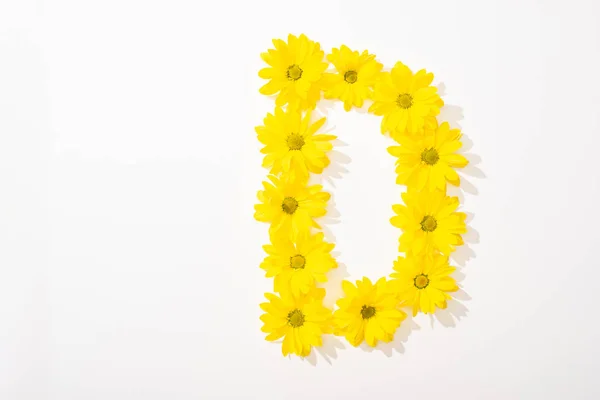 白い背景に文字Dで配置された黄色のデイジーのトップビュー — ストック写真