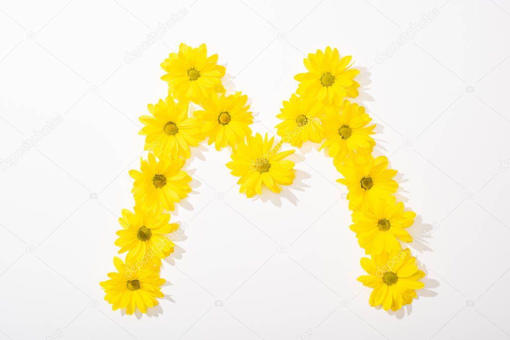 Top view of yellow daisies arranged in letter M on white background