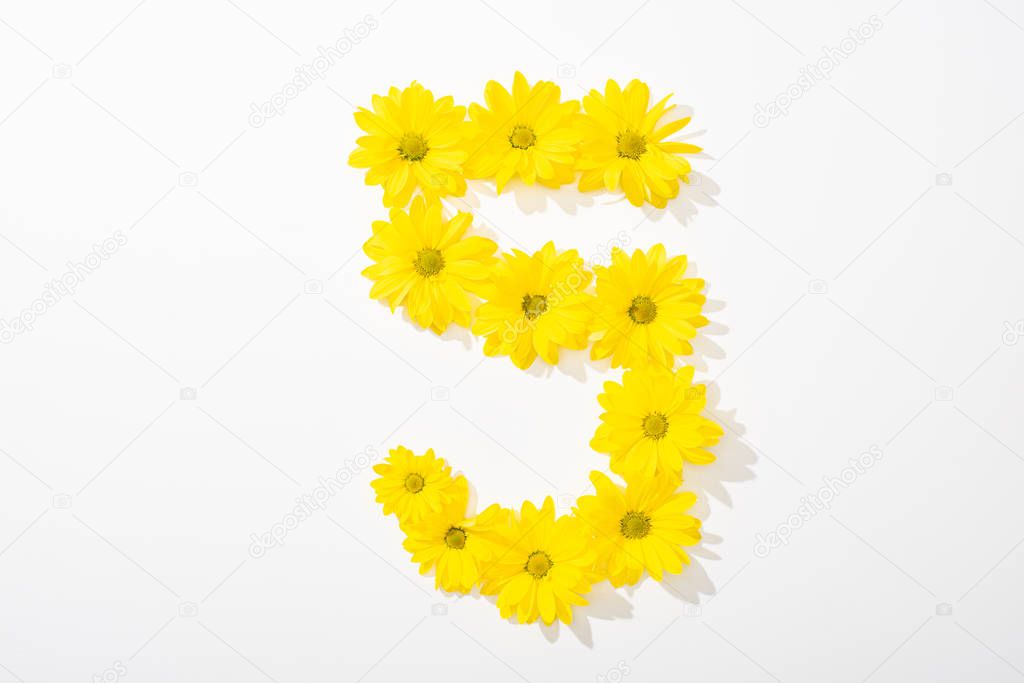 top view of yellow daisies arranged in number 5 on white background