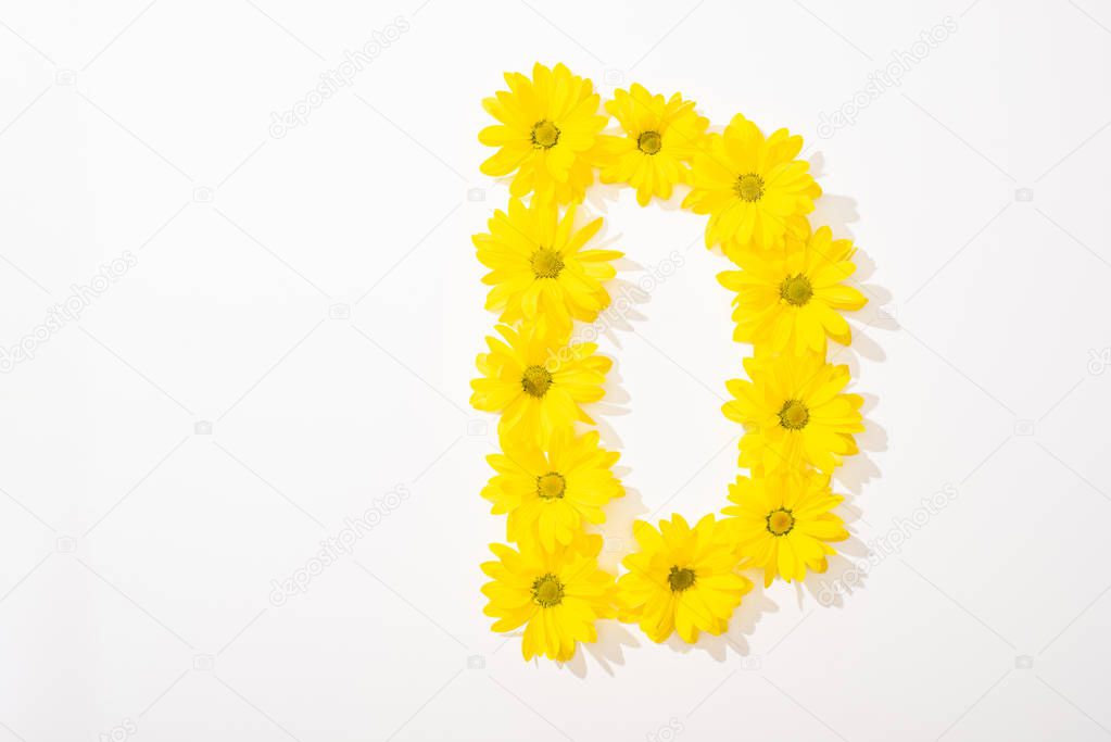 Top view of yellow daisies arranged in letter D on white background