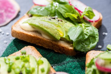 Sağlıklı vejetaryen tostlarını turp, fesleğen ve kumaş üzerine avokado ile kaplayın.