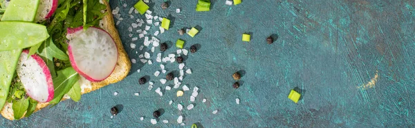 stock image panoramic shot of fresh radish sandwich on stone table with pepper seeds and salt