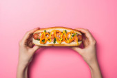 oříznutý pohled na ženu držící lahodný hot dog s hořčicí na růžové