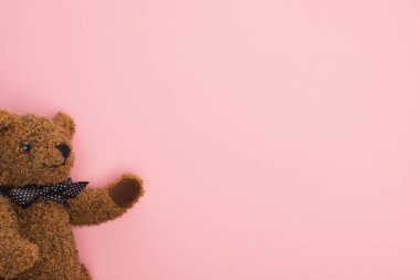 Pembe arka planı olan kahverengi ayıcığın üst görüntüsü