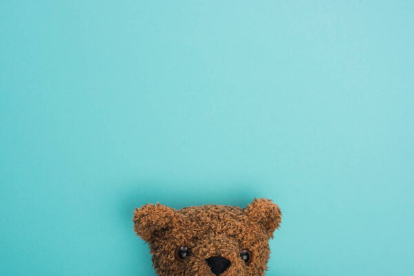 Top view of teddy bear on blue 