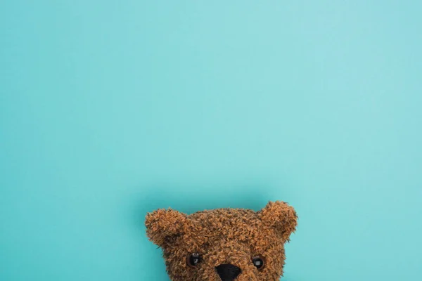 Top View Brown Teddy Bear Blue — Stock Photo, Image