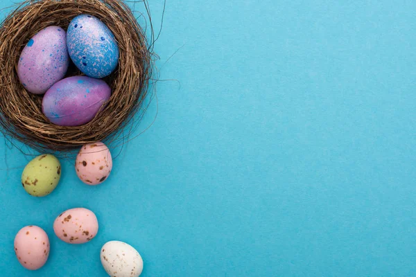 Top View Nest Purple Chicken Perail Eggs Blue Background — стоковое фото