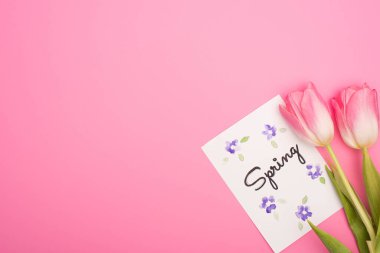 Pembe arka planda bahar harfleri olan lalelerin ve kartların üst görüntüsü