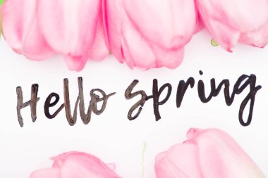 Beyaz arka planda pembe laleler olan Hello Spring Letting 'in en üst görüntüsü