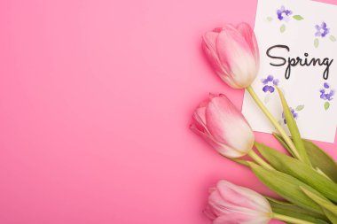 Pembe arka planda bahar harfleri olan lalelerin ve kartların üst görüntüsü 