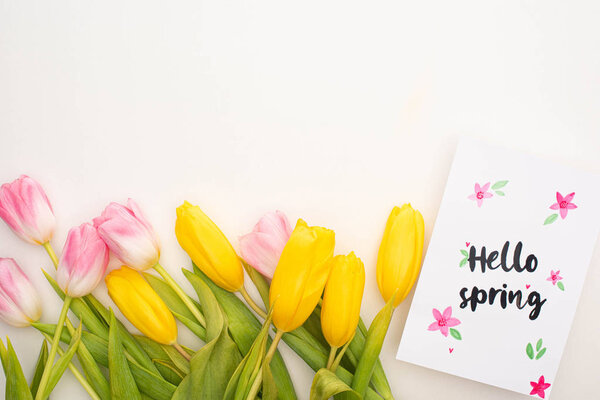 Top view of yellow, pink tulips and card with hello spring lettering on white background
