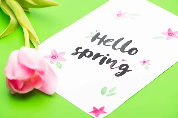 Selective Focus Pink Tulip Card Hello Spring Lettering Green Background — Stock Photo, Image