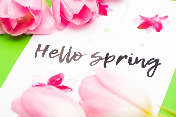 Selective focus of pink tulips and card with hello spring lettering on green background