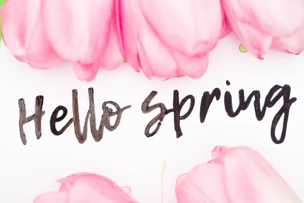 Top View Hello Spring Lettering Pink Tulips White Background — Stock Photo, Image