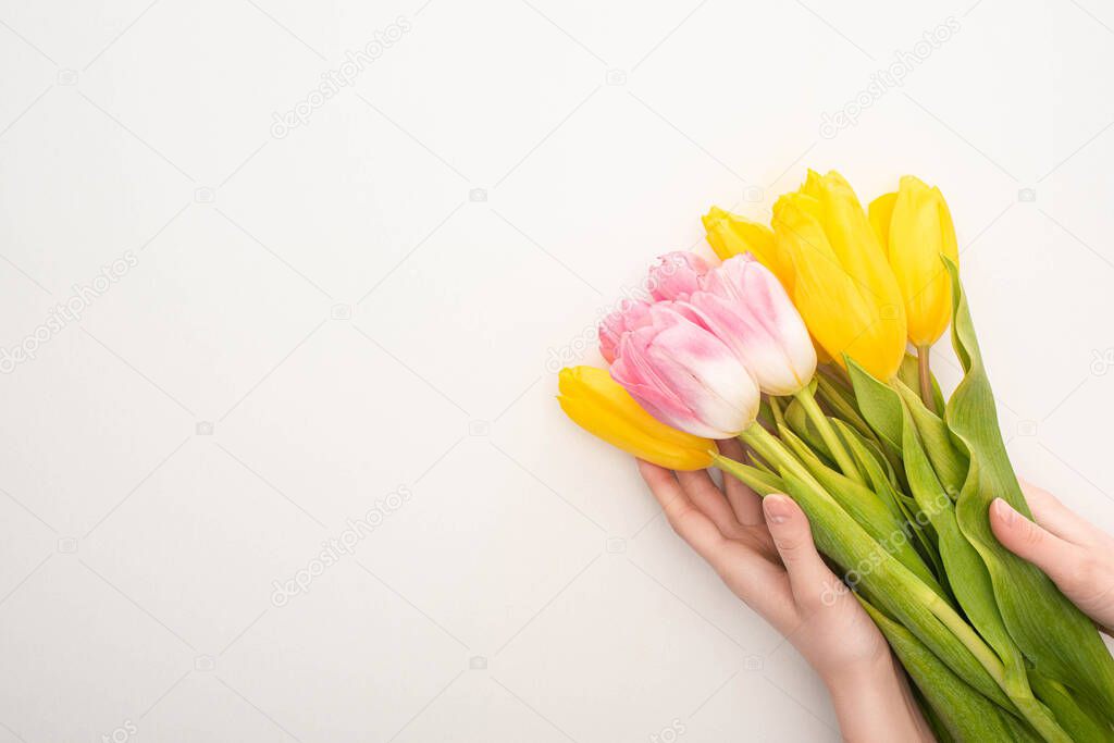 Partial view of woman holding bouquet of tulips on white background, spring concept 