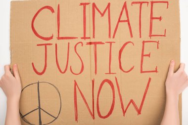 Cropped view of woman holding placard with climate justice now lettering on white background, global warming concept clipart