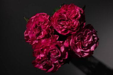bouquet of red roses with water drops on black background