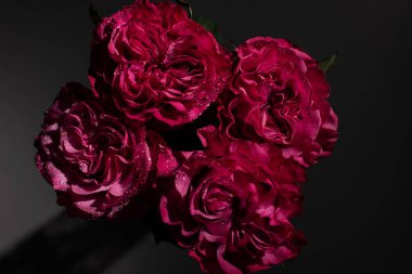 bouquet of red roses with water drops on black background