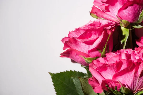 Vista Vicino Rose Rosa Con Gocce Acqua Foglie Verdi Sfondo — Foto Stock
