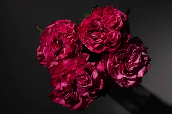 Strauß Roter Rosen Mit Wassertropfen Auf Schwarzem Hintergrund — Stockfoto