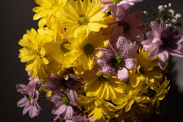 bouquet of yellow and violet daisies with water drops