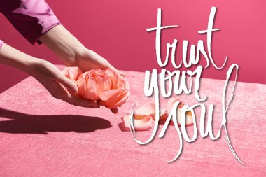 cropped view of woman holding rose petals above velour cloth isolated on pink, trust your soul illustration clipart