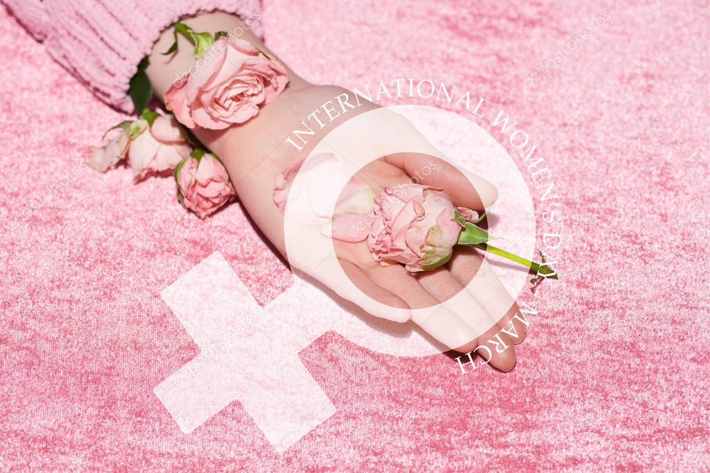 cropped view of woman holding roses on velour pink cloth, international womens day illustration