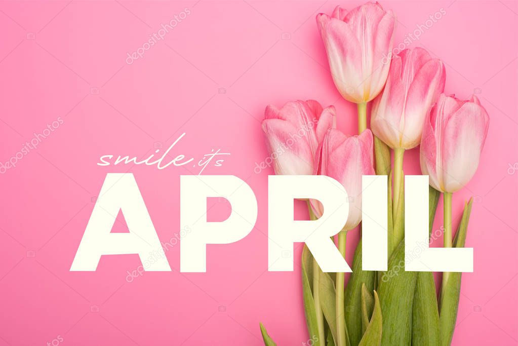 Top view of tulips on pink background, smile, it is april illustration