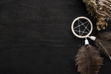 Bitkisel leke çubuklarının ve kara tahta yüzeydeki düş kapanı manzarası.