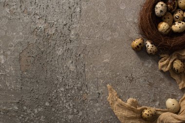 Yuvadaki bıldırcın yumurtalarının ve gri desenli arka plandaki kahverengi gazlı bezlerin üst görüntüsü