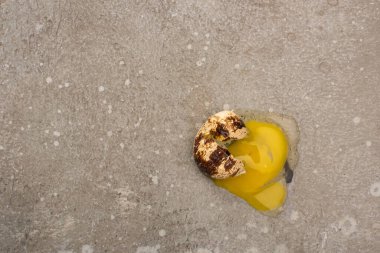 top view of smashed quail egg on grey concrete background clipart