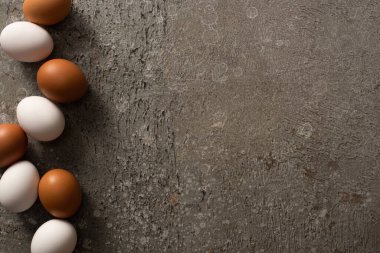 top view of brown and white chicken eggs on grey textured background clipart