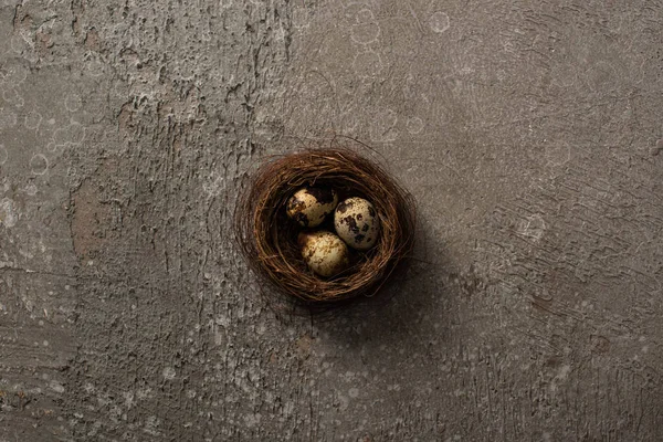 灰色のテクスチャの背景に巣の中のウズラの卵の上からの眺め — ストック写真