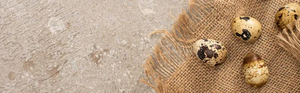 Panoramic Shot Quail Eggs Sackcloth Grey Cement Background — Stok Foto