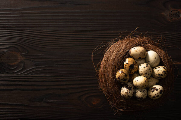 top view of quail eggs in nest on black wooden surface