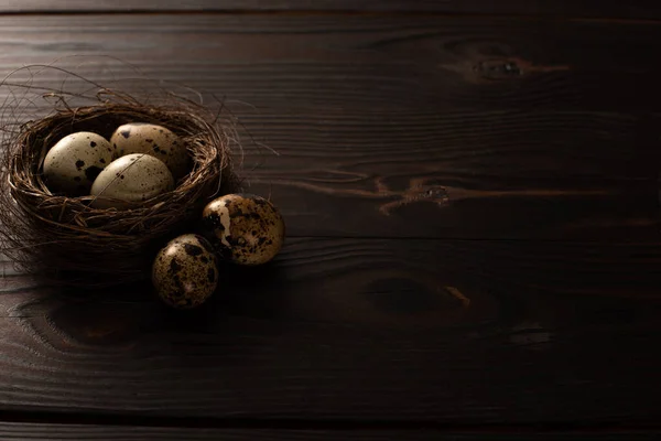 鹌鹑蛋 产于褐色巢穴和深色木制表面 — 图库照片