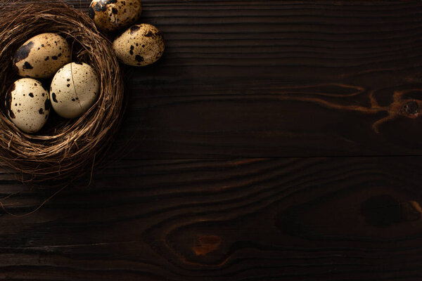 top view of quail eggs in nest on dark wooden background