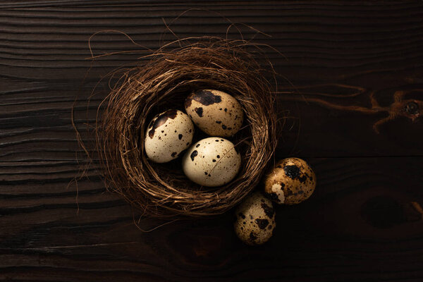 top view of quail eggs in nest on dark wooden surface