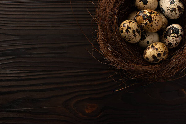 top view of quail eggs in brown nest on dark wooden background