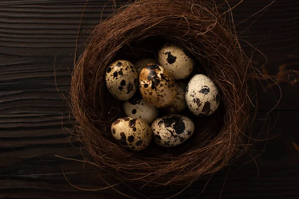 褐色木制表面鸟巢中鹌鹑蛋的顶视图 — 图库照片